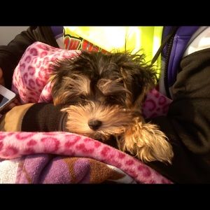 Meet your Posher, Claudia